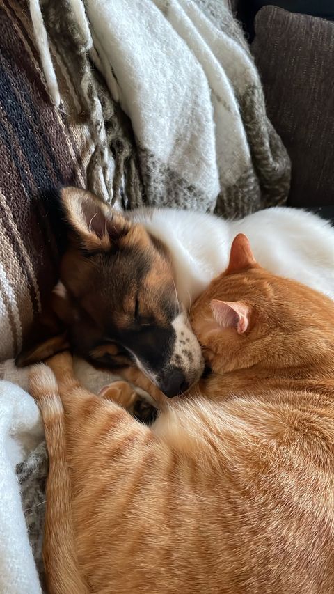 提供：naomiさん