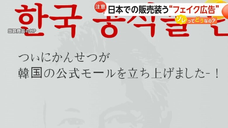 「公式モールを立ち上げた」と記載があるホームページ