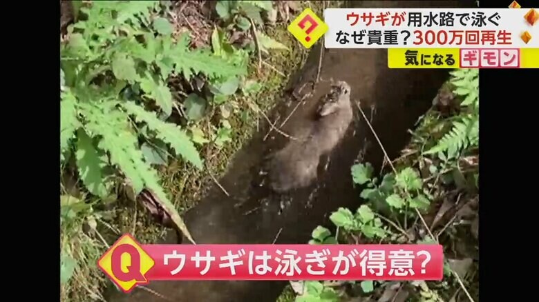 （ヒロさん撮影）