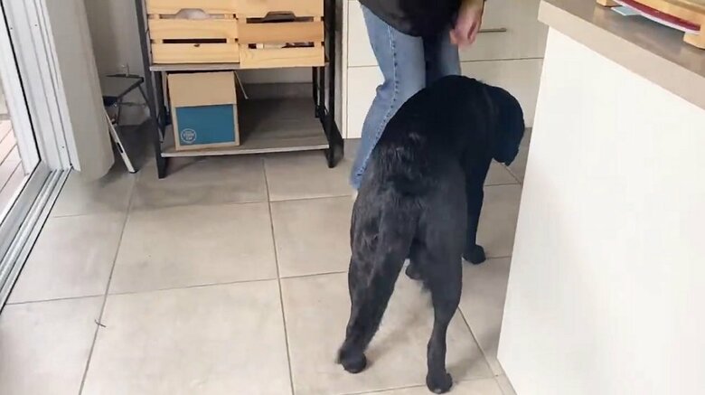 しぶしぶ近寄って…