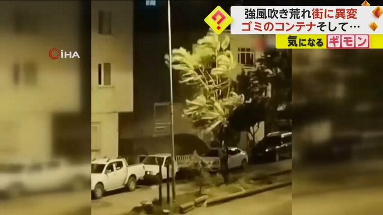 強風に吹かれ、激しく揺れる木