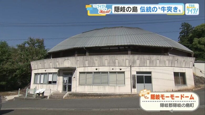 隠岐の島町の観光名所「隠岐モーモードーム」