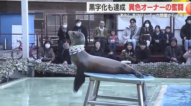 復活したアシカショー