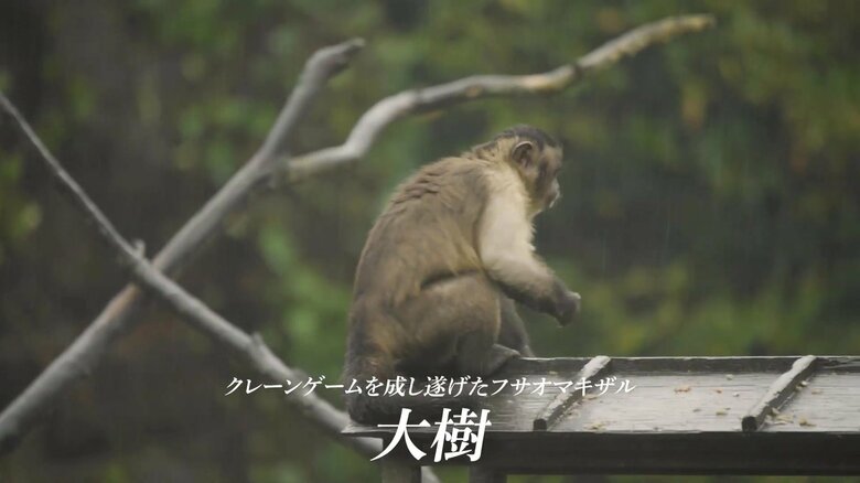 （出典：株式会社ワイドレジャー）