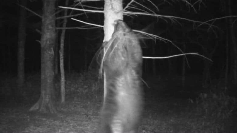 12月1日撮影（提供：桜井憲二さん 吉田多麻希さん）