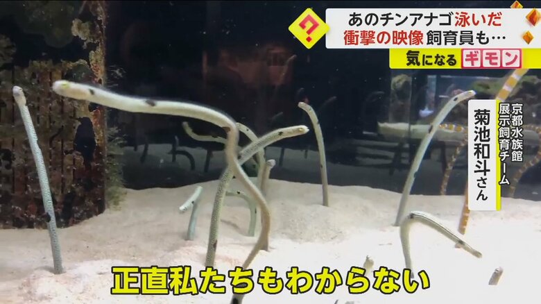 （京都水族館）