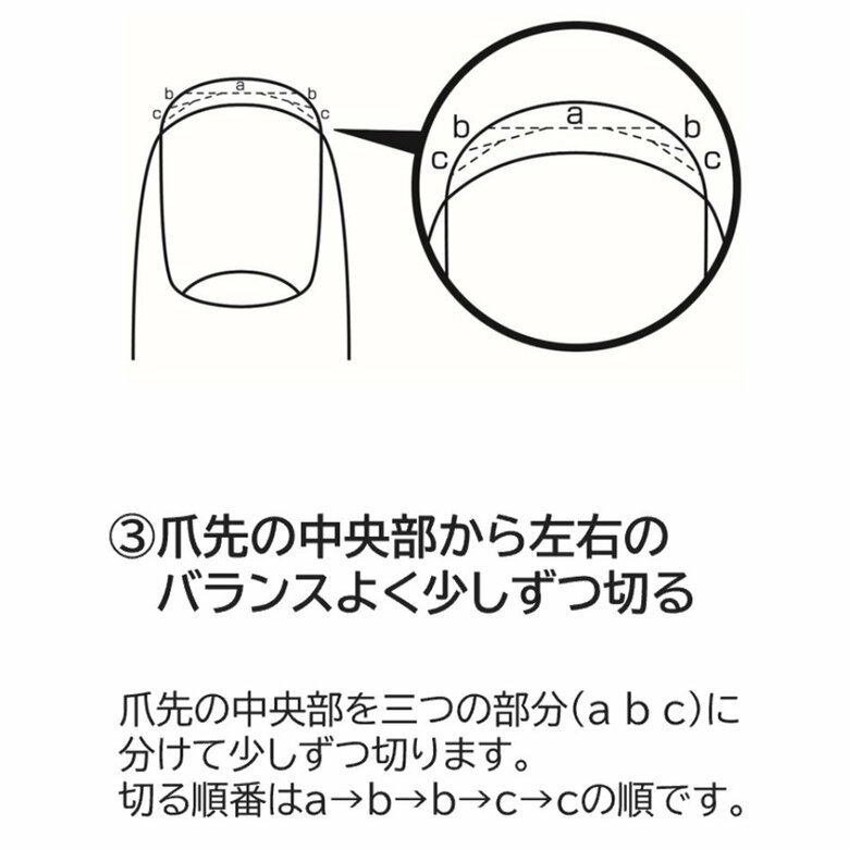 爪切りの手順（画像提供：貝印）
