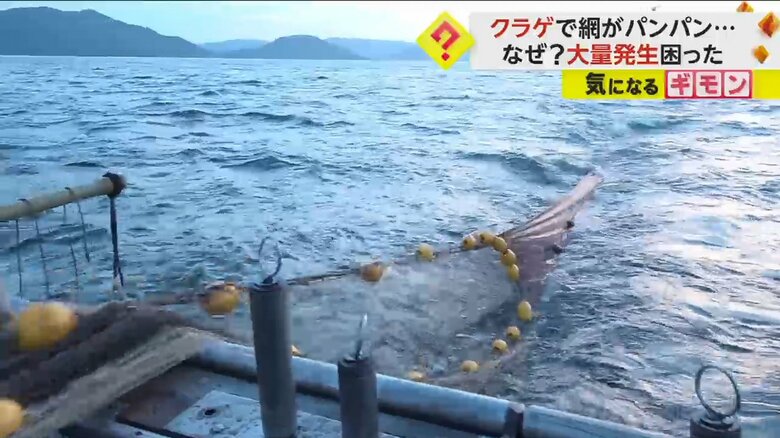 引き揚げられる底引き網