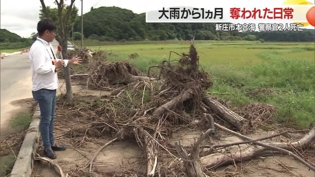 道路脇には流れ着いた木々が残されたままになっている
