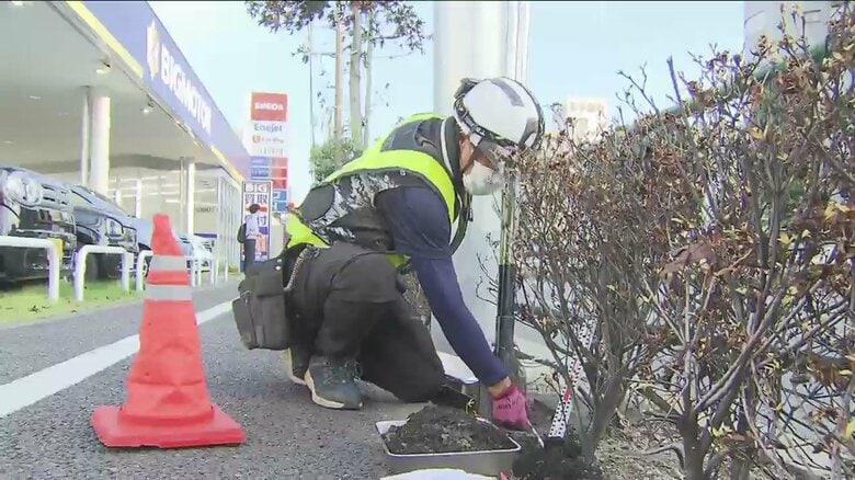 土壌の調査をする人たち