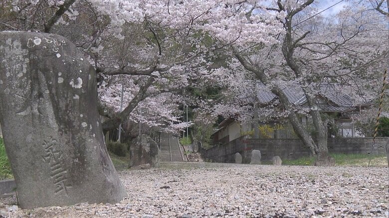 いわき市四倉町・薬王寺（4月7日撮影）