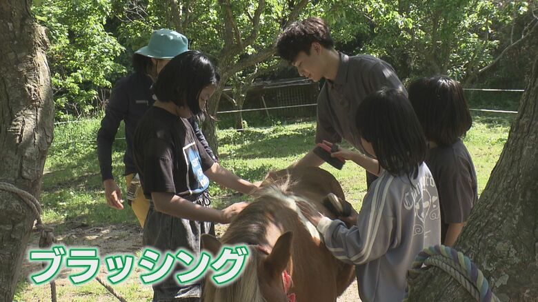 手入れなどをして馬と触れ合う