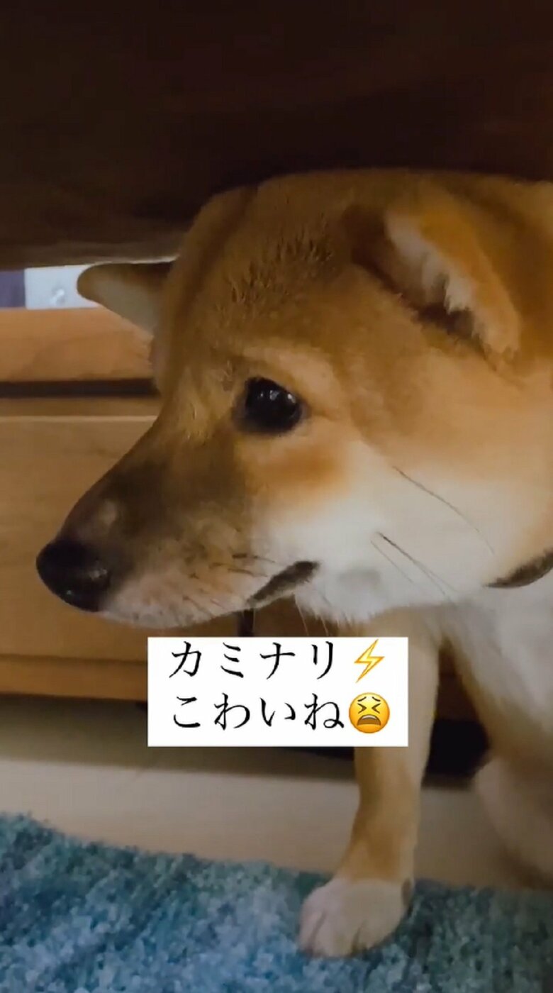 怖いよ…