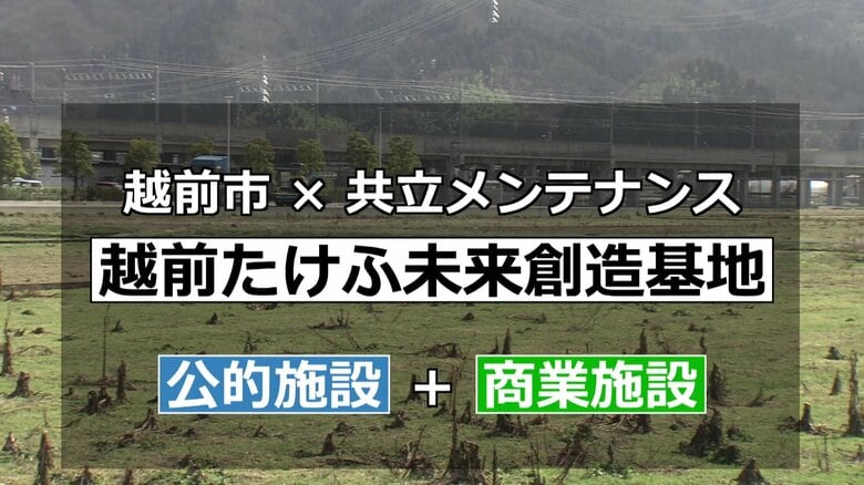 開発計画