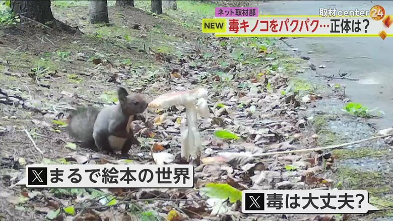 X（旧ツイッター）でも反響が