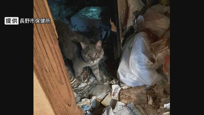 住宅で「多頭飼育」　提供：長野市保健所