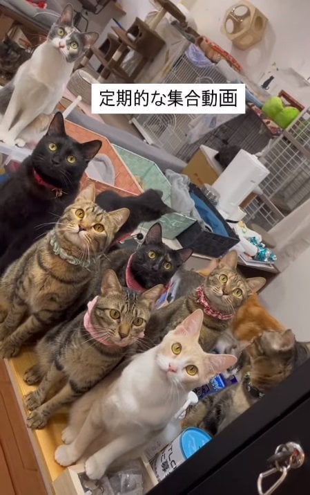 ずらりと大集合