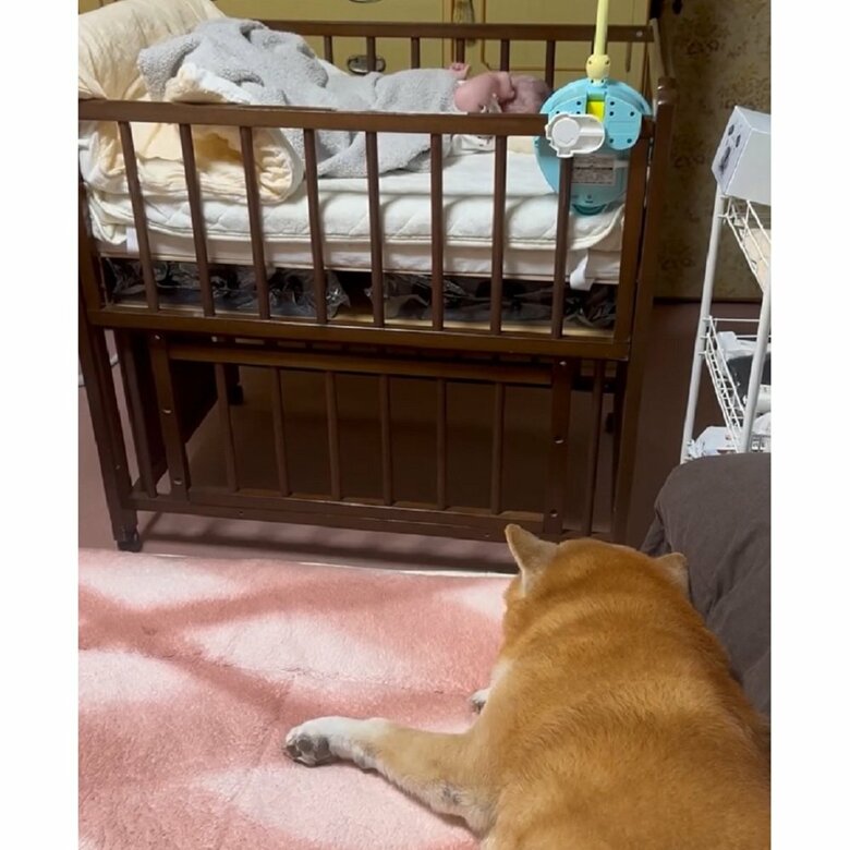 娘さんの存在に気づいていなかった？