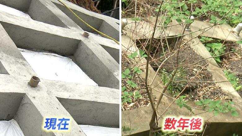 左)コンクリート枠施工直後　右)数年後には植物が根を張り緑化が進む