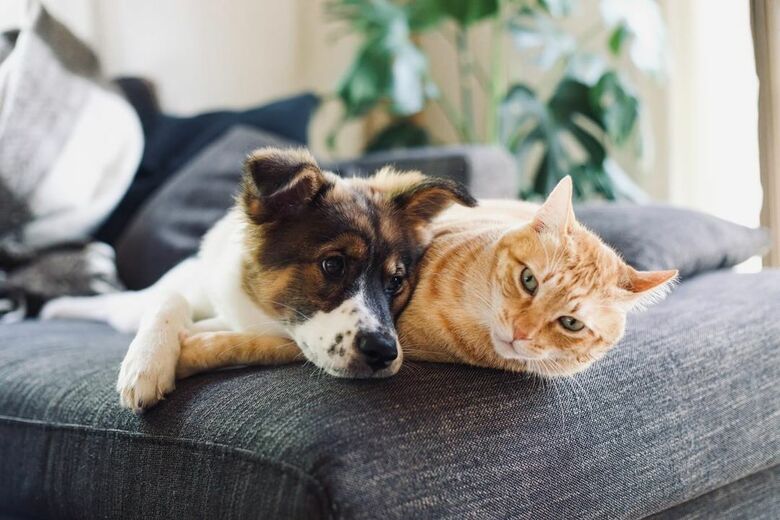 提供：naomiさん