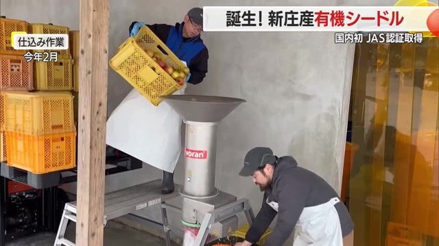 祖父の家を改築して自前のワイナリーとして整備し、仕込みを進めた（2025年2月）