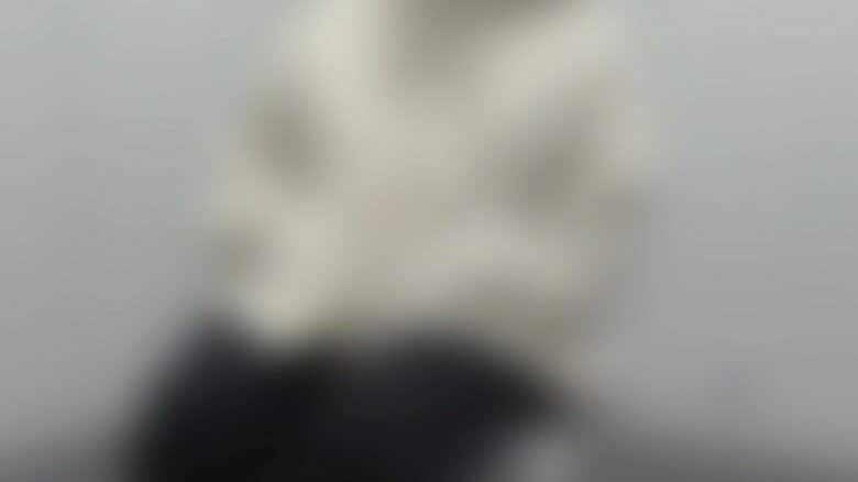 証言する助成金啓発団体の別の元職員