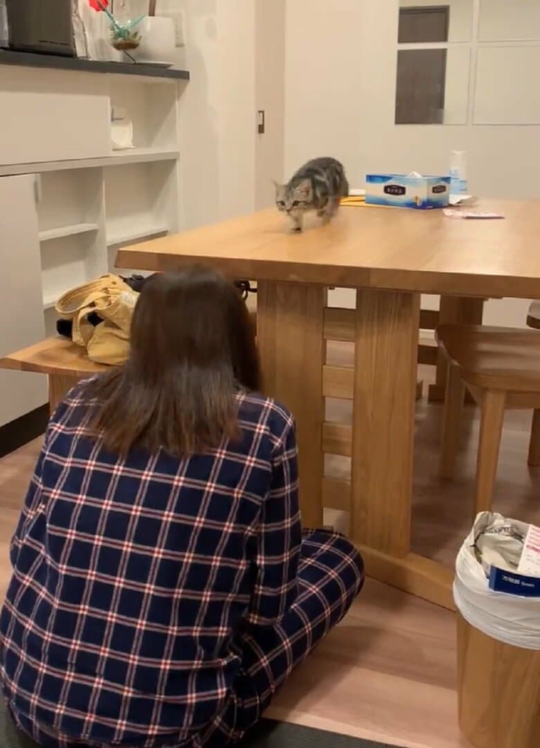 一気に勝負をしかけるあんこくんは、飼い主さんが隠れた瞬間ダッシュ！