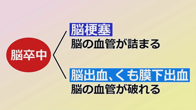 脳卒中は大きく分けて2種類