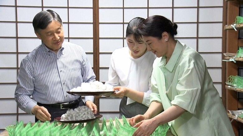 ご養蚕で「小石丸」の繭（まゆ）を取り出される皇后さま