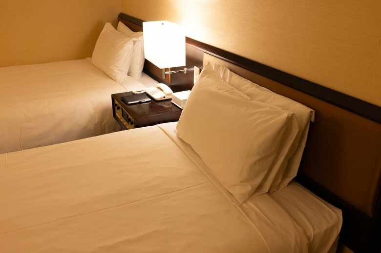 トコジラミが不安な時は照明は消さないで寝る（画像はイメージ）