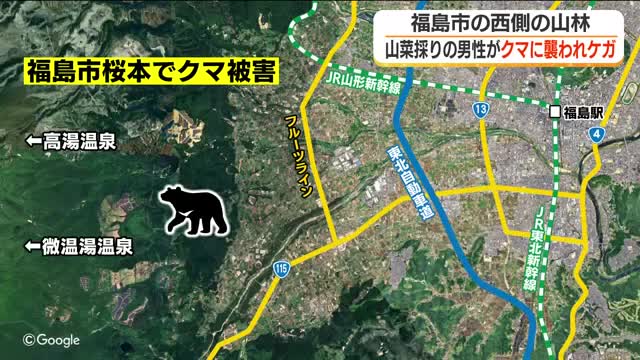 山菜取り中にクマに襲われ男性（50代）が両足にケガ 福島・福島市(放送