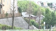 東京・町田市で街路樹のイチョウ54本が枯れる　まいた除草剤が根から広がったか　市「予測困難だった」