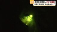 暗闇に乱舞する初夏の灯　松山・萬翠荘でホタル鑑賞会「すごい幻想的」最初放流も自然繁殖に【愛媛】