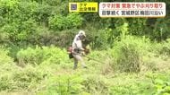 宮城野区の梅田川沿いで相次ぐクマ出没　仙台市が緊急でやぶの刈り取り作業を実施　箱わなも設置し警戒