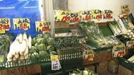 冬は170円だった大根が95円に　格安“冬野菜”に行列　旬を過ぎた“なごり野菜”がお得