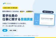 若手が辞めたくなるのは「給与」か「人間関係」か？カケハシスカイが、30歳以下927人の本音を調べた「若手社員の仕事に関する意識調査」2資料を無料公開