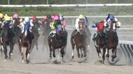 【3歳馬ダート重賞レパードS・G3】　飛躍の2年目・田山旺佑騎手　ショウナンバンライで待望の重賞初制覇なるか