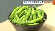 夏の味覚“枝豆”の出荷始まる！天候に恵まれ例年以上の出荷量に「お酒のお供に山盛り食べて」新潟・長岡市