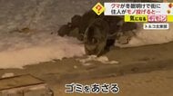 「クマからすれば一瞬で走ってこれるレベル」冬眠明けクマに住民がモノを投げ追い払う…専門家は危険と指摘　トルコ