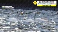 週末までは小春日和も来週は気温が大幅ダウン12月並の寒さに 山間部では氷点下の寒さに