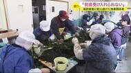 「到底受け入れられない」風評被害に耐え続けた漁業関係者 海洋放出方針決定に憤り〈宮城〉