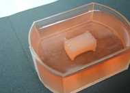 “謎肉”の次は「培養ステーキ肉」を開発中…実用化はいつ頃か?日清に聞いた
