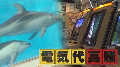 「どこまで苦しめるの」電気代の請求額に驚きの声 ４月からさらなる値上げも【新潟発】
