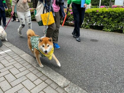 愛犬と一緒に「ワンワンパトロール」特殊詐欺防止を呼びかけ　3月までの被害額は約17億8000万円