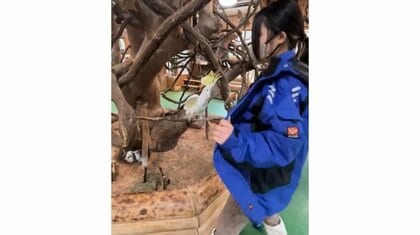 オウムと飼育員が息ピッタリ！一緒にダンスをしているような動きが可愛い…何をしていたのか担当者に聞いた