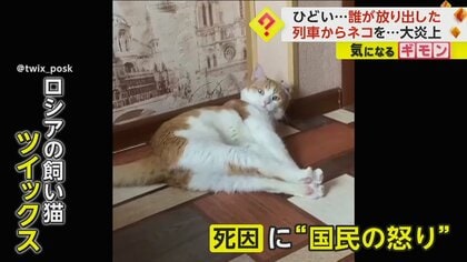 ネコが－30℃の外に放り出され…死んだ状態で発見　車掌のウソがばれて“大炎上”　ロシア