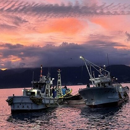 “漁師”になった女子大生　「一年漁師」を終えて彼女が辿り着いた港