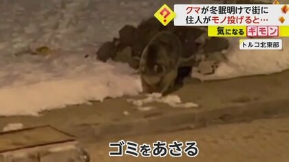 「クマからすれば一瞬で走ってこれるレベル」冬眠明けクマに住民がモノを投げ追い払う…専門家は危険と指摘　トルコ