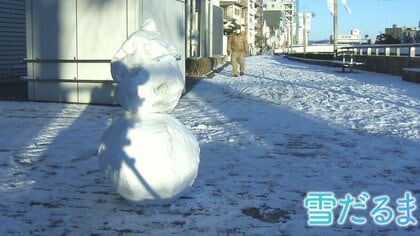 雪で乗用車が横転・トラックは動けなくなる 各地で交通に乱れ 街中には