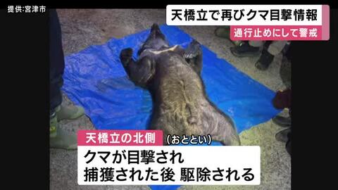 「小さいクマが・・・」再びクマの目撃情報　京都・天橋立を通行止め　観光客は「残念」　